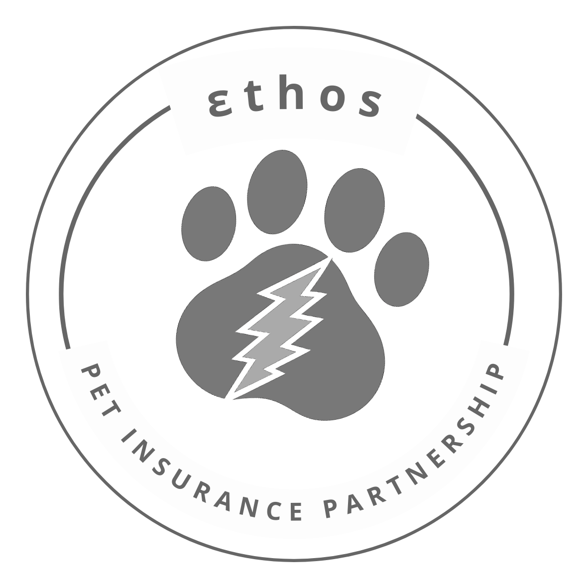 Ethos Insurance