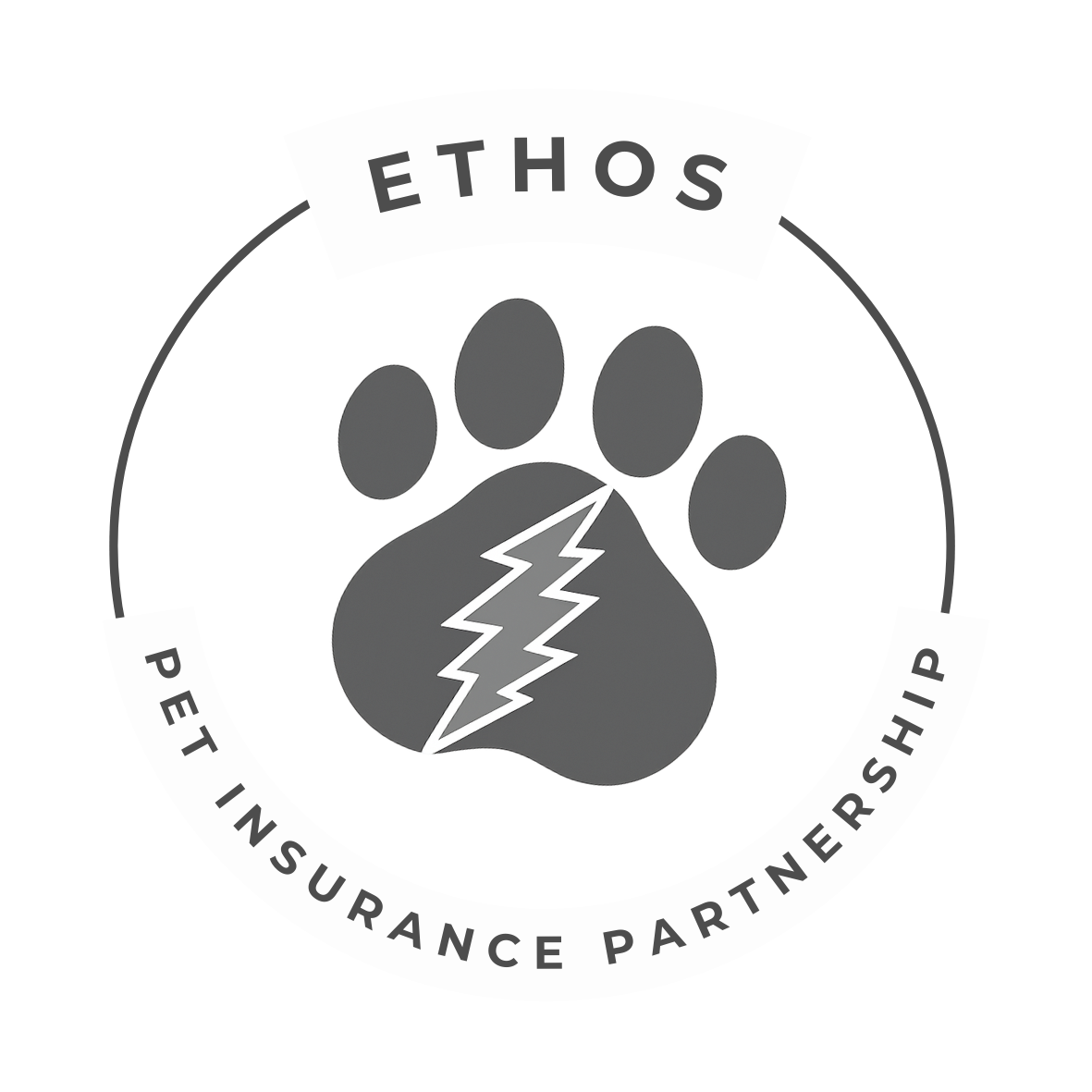 Ethos Insurance